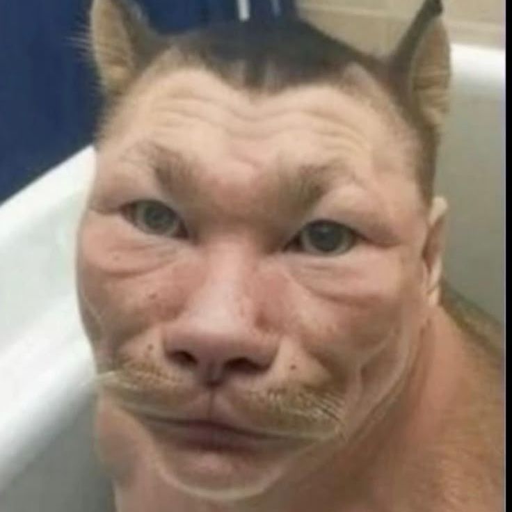 RePebTw