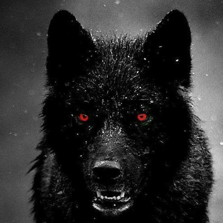 reallybad666