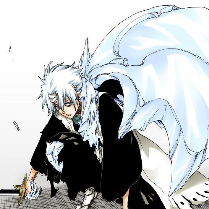 hitsugaya-_