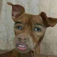 KyngBo avatar