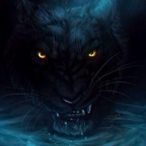 _FireWolf avatar