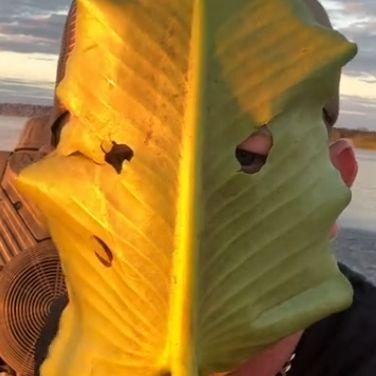 danilchik000 avatar