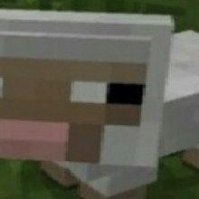 Alcik228 avatar