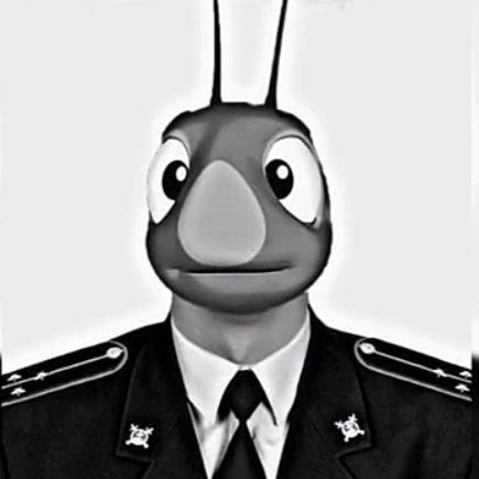 skyelytra avatar