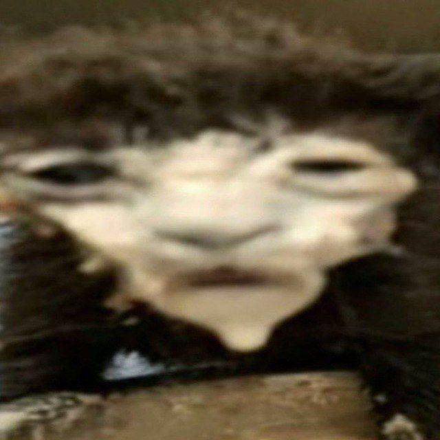 Geertu avatar