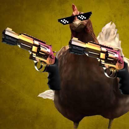 Kok0t3k