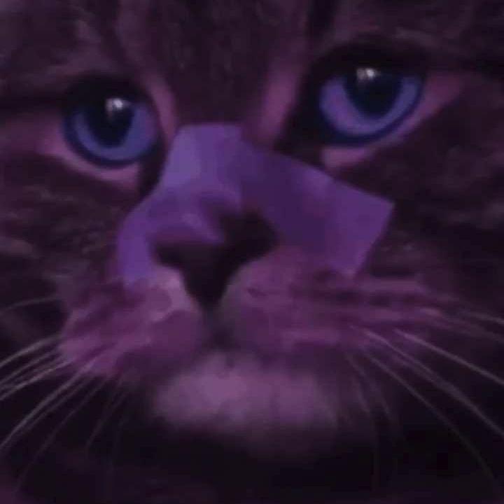 SwallowMyGum avatar