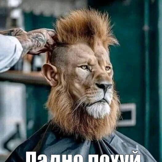 skritopulny avatar