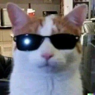 IVIainz avatar