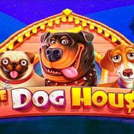 dog house