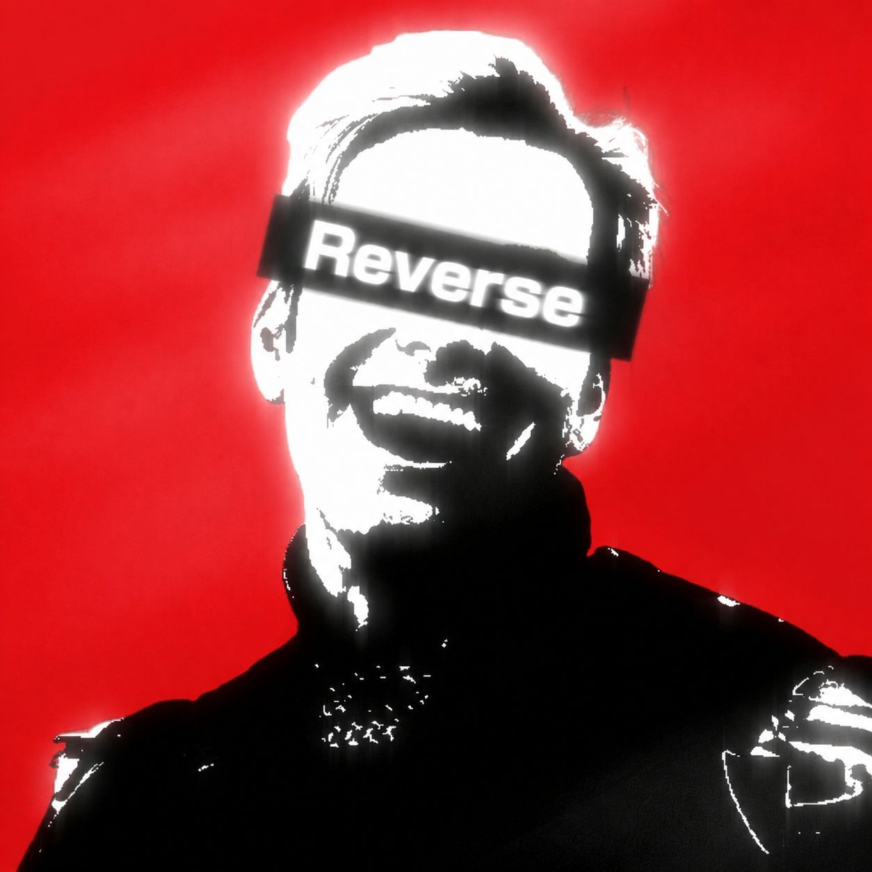 team_Reversee--