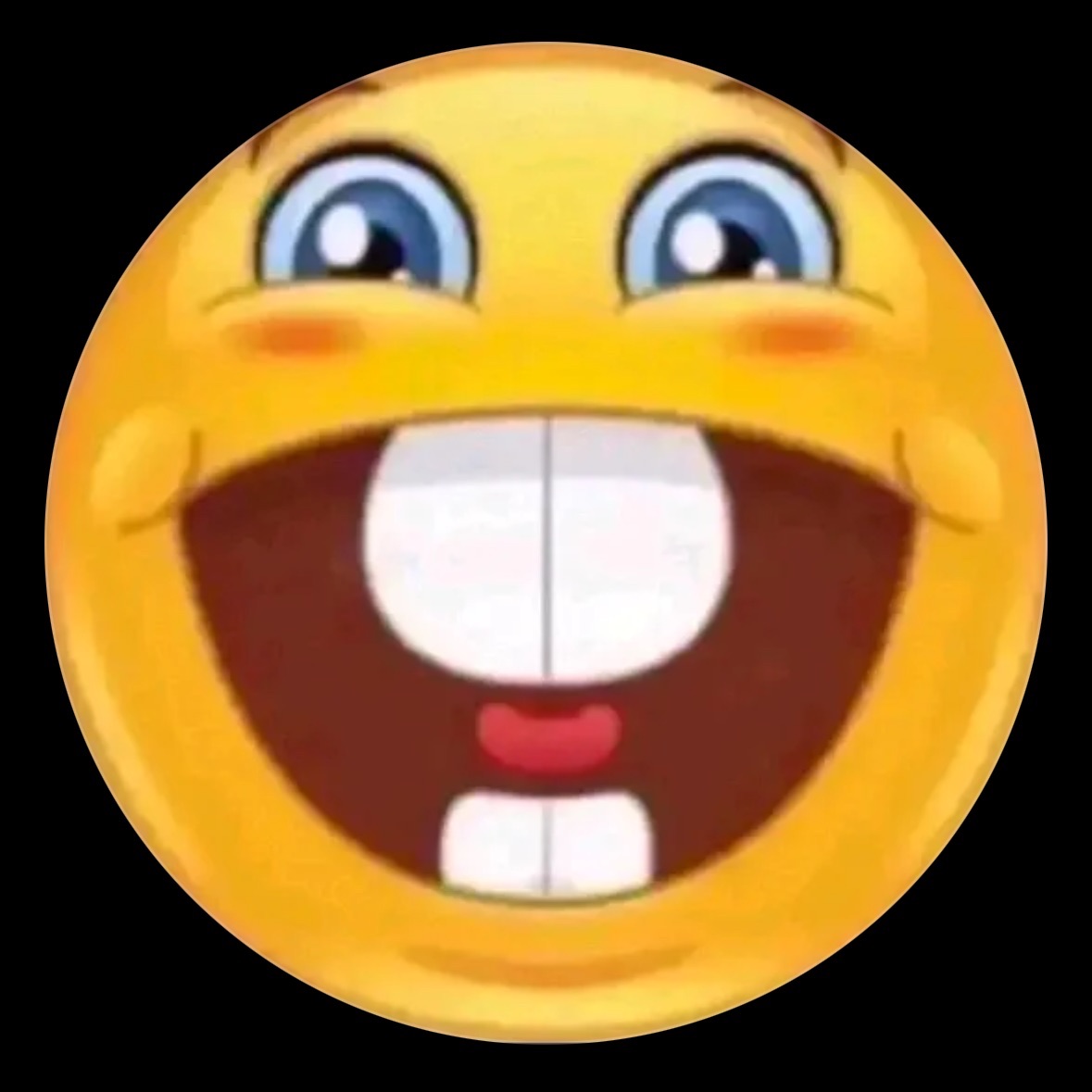 xvan69