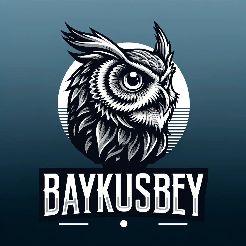 Baykusssbey avatar