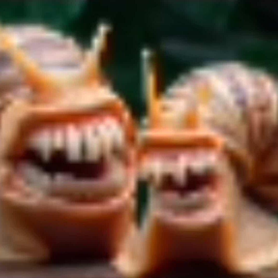 you_water avatar