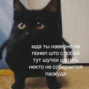 Duhovka