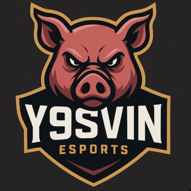 y9svin esports