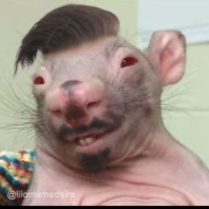 rodsgr