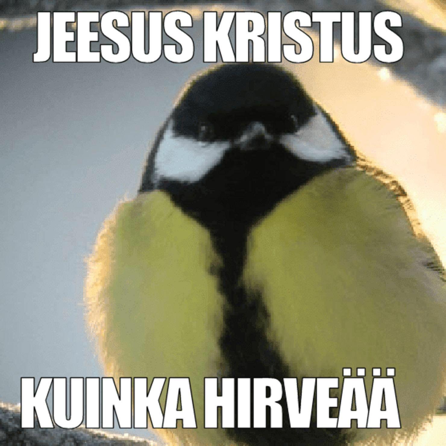 Jonizzki avatar