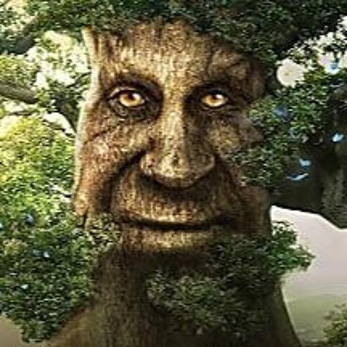 tarikii avatar