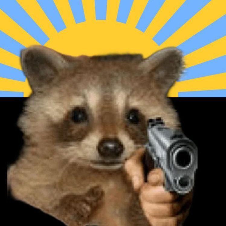 Wild_Raccon avatar