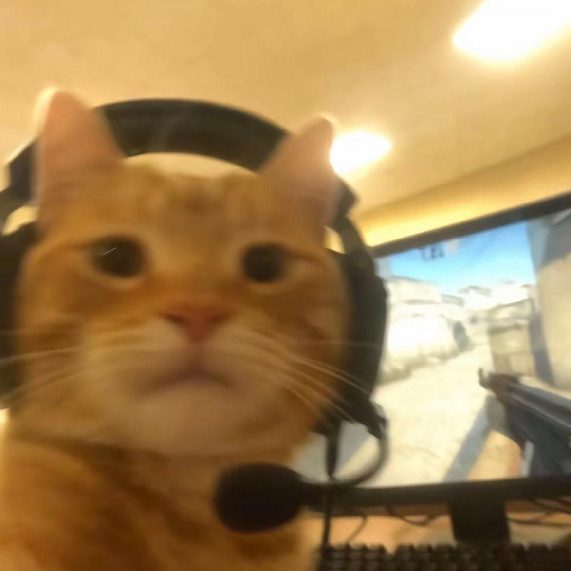 gcybermaster
