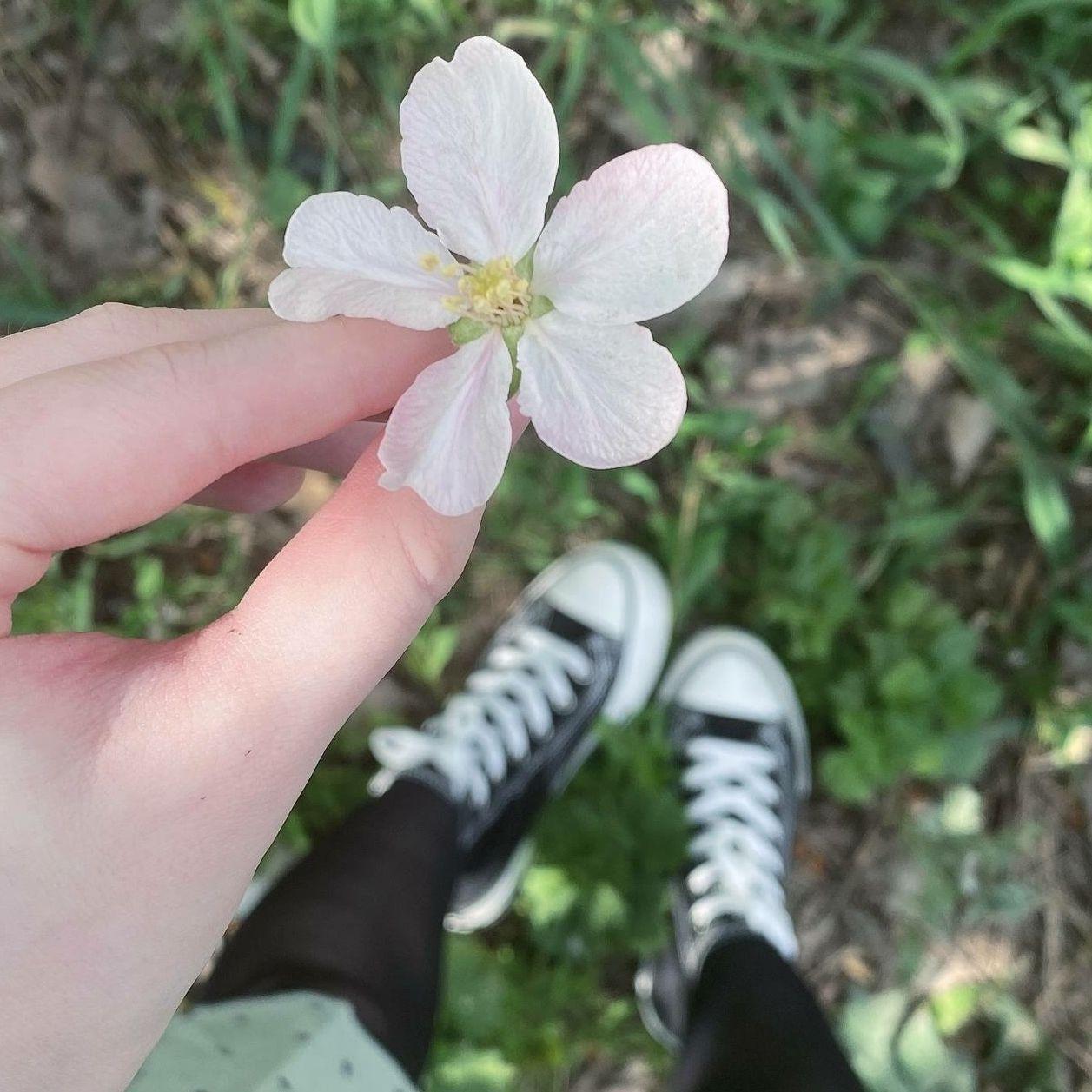 Gwiazdkaa
