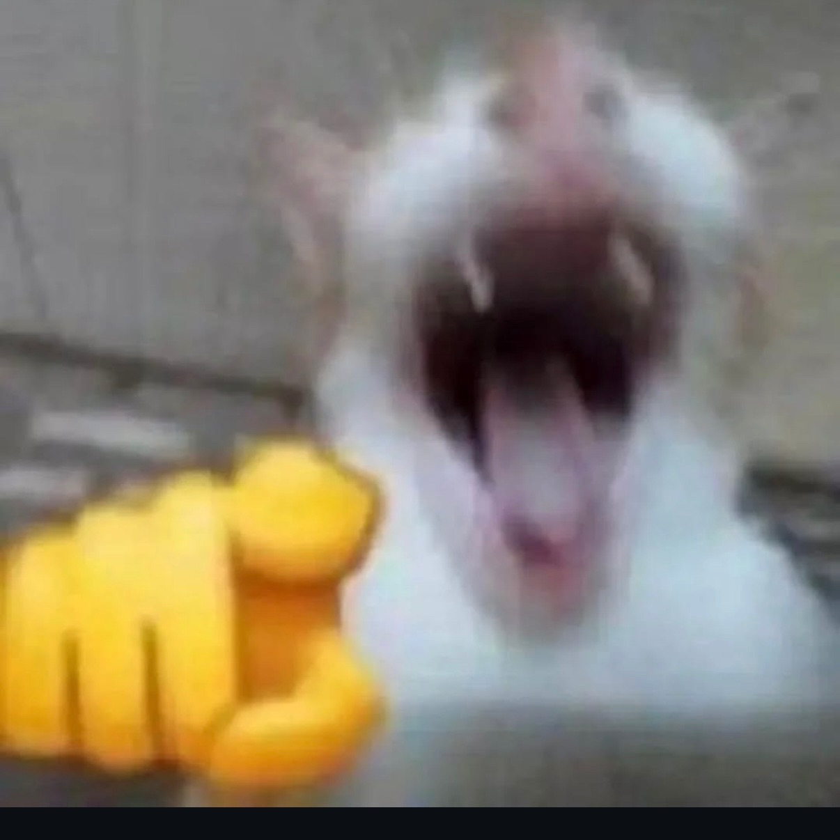 Larsaboy10