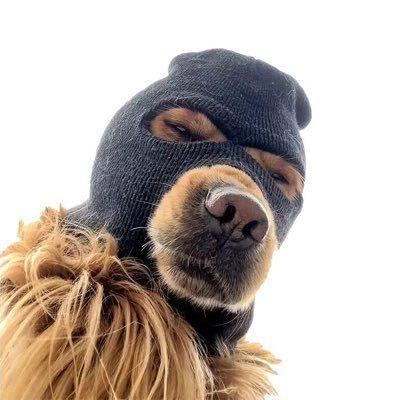 1caprii avatar
