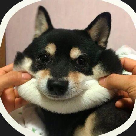 Snysaika avatar