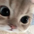 -SORI
