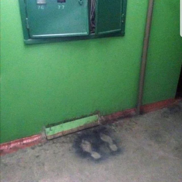 Elektryk