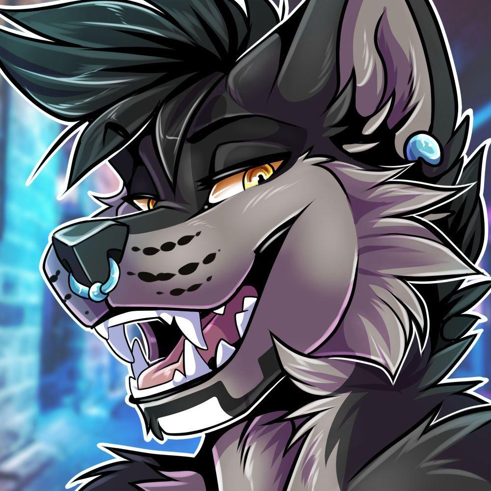 NovaWolfyy avatar