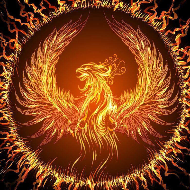 PHOENIX78A1