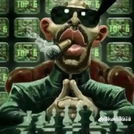 feiy5 avatar