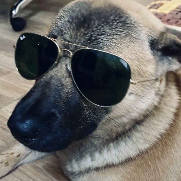 DoCu0ng