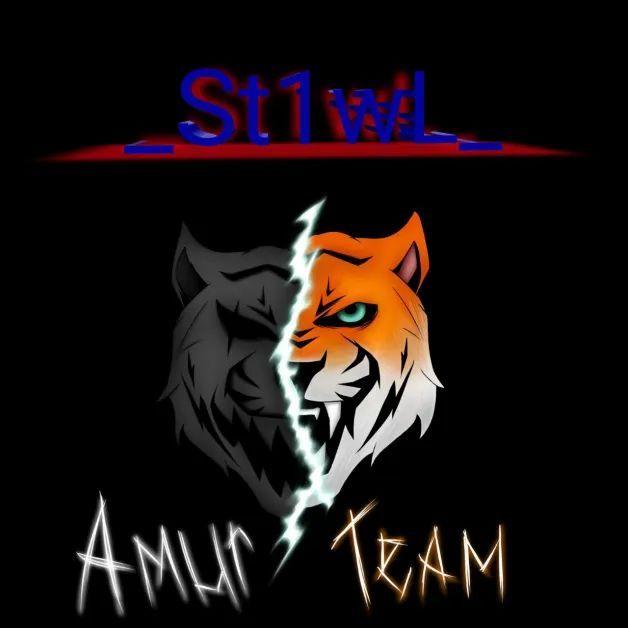 St1wl_ avatar