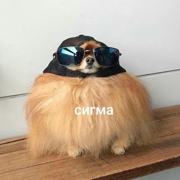MistryXD