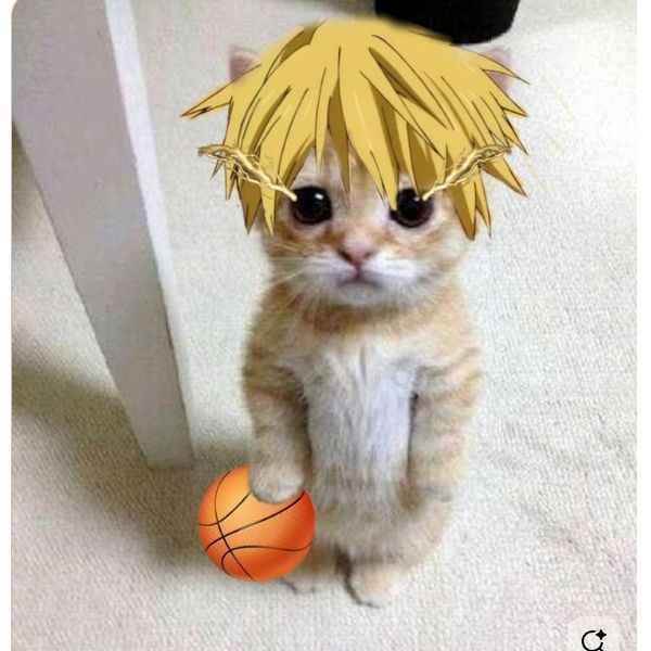 team_scratar