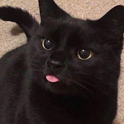 mathfps1 avatar
