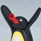 PINGUSSSS