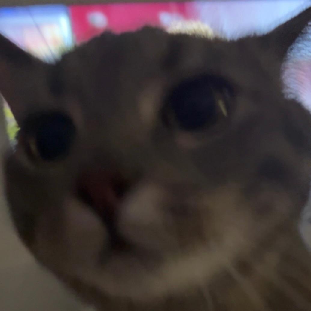 G00SE666 avatar