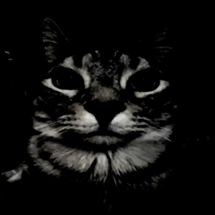 Tw1nk69 avatar