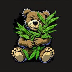 T3ddyTheBear avatar