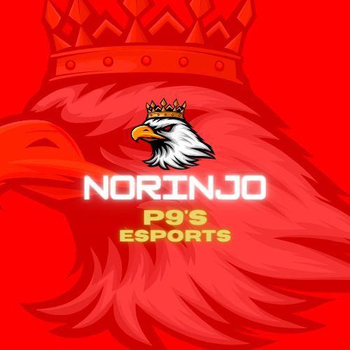 Player Norinjo05 avatar