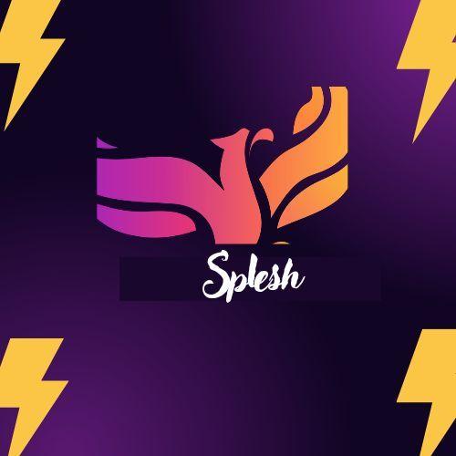 Splesh_2024
