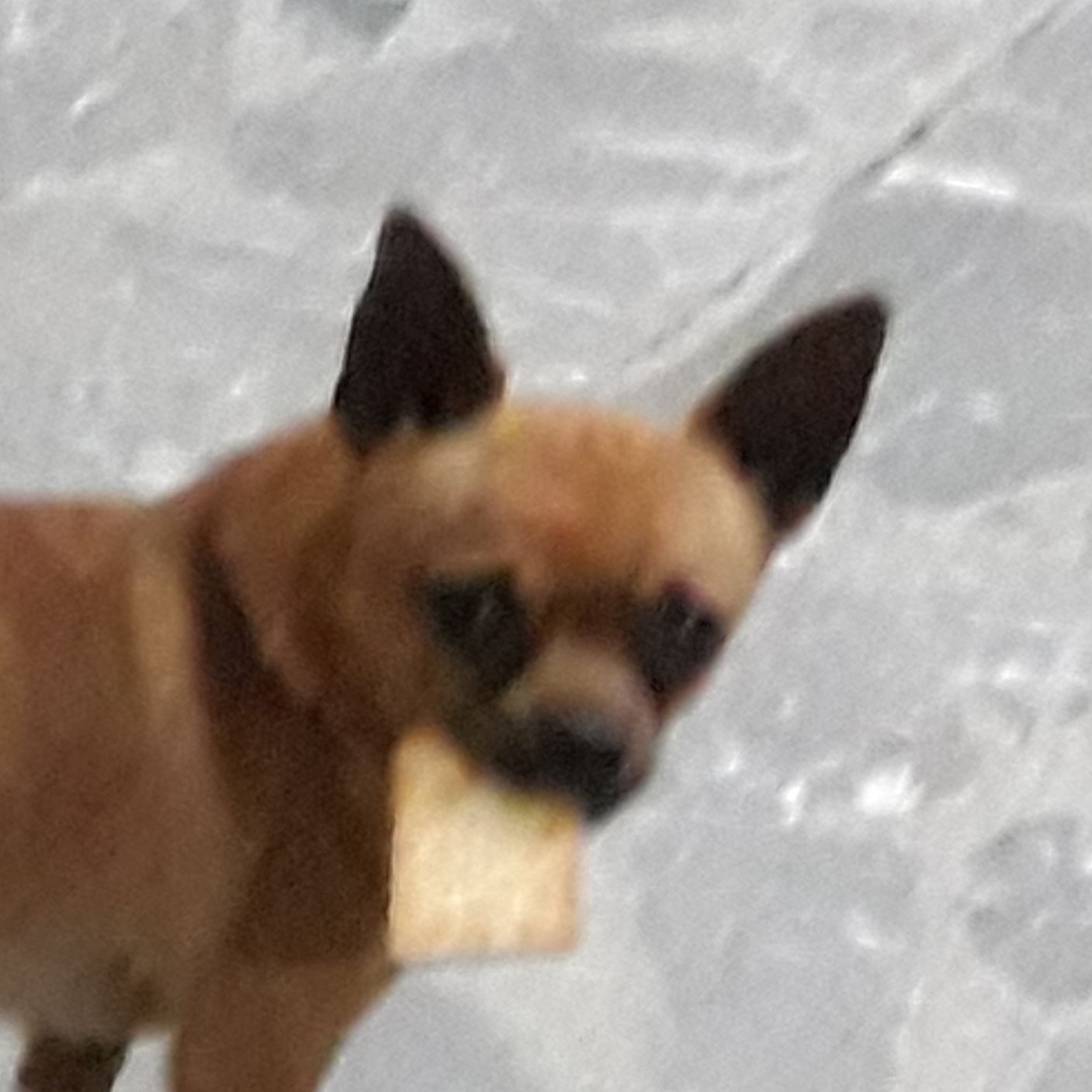 Feduzen