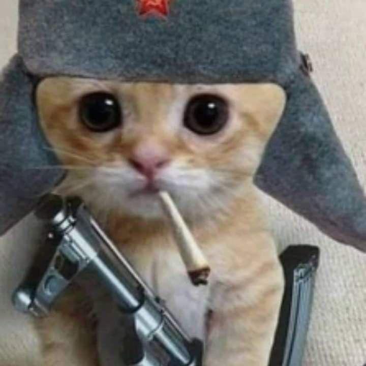 LxxRO avatar
