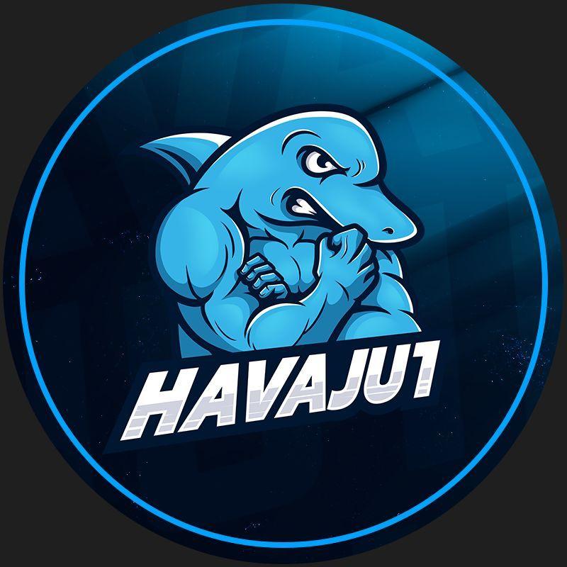 Player havaju1 avatar