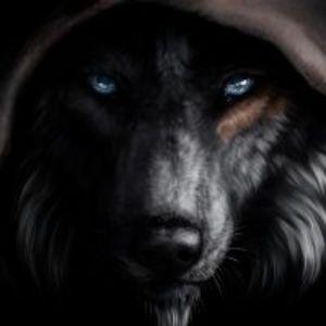 _Shadow_wolf avatar