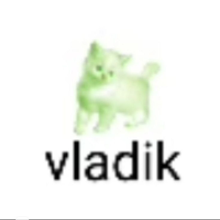 _Skunks_ FACEIT avatar